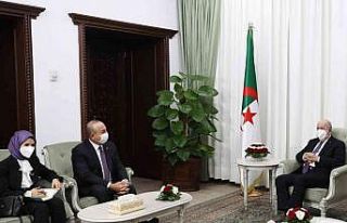 Bakan Çavuşoğlu, Cezayir Cumhurbaşkanı Tebbun...