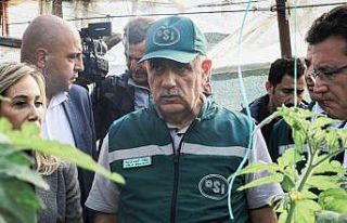 Bakan Kirişci, Kumluca’da selden etkilenen seraları...