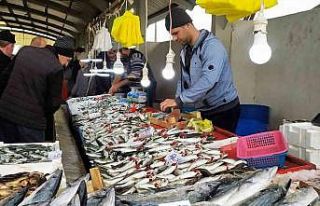 Balık bollaştı, fiyatlar ucuzladı