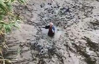 Balık yakalarken, çamura saplandı