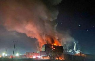 Balık yem fabrikasındaki yangına ormancılar da...