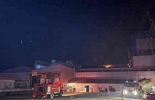Balık yemi fabrikasındaki yangın kontrol altına...