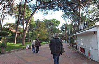 Balıkesir Ören Sahili’nde kuruyan ağaçlar tedirgin...