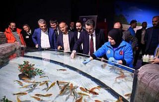 Balıkları biberonla beslediler