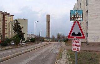 Bandırma Belediyesi’nden kuduz açıklaması