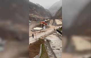 Başıboş köpekler yeni kurulan ilçe merkezinde...