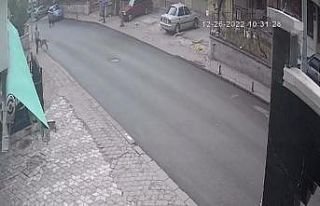 Başıboş köpeklerin saldırdığı vatandaşın...