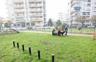 Bayraklı’da evcil hayvanlar için ‘Pati Park’