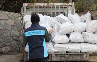 Belediyeden vatandaşlara yakacak desteği