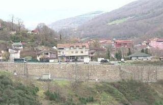 Beykoz’da aç kalan domuzlar yerleşim yerlerine...