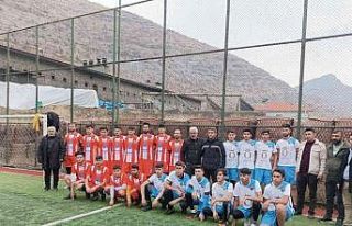 Beytüşşebap’ta 20 yıllık hasret sona erdi