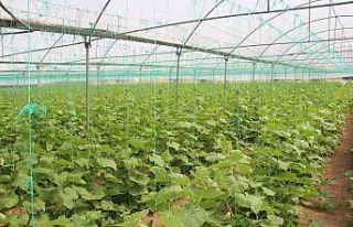 Bilecik’te de "Kent Tarım Projesi" başlıyor