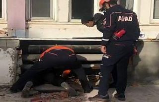 Binanın duvarını yıkıp yavru köpeği kurtardılar