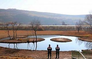 Bingöl’de HAYDİ görev başında