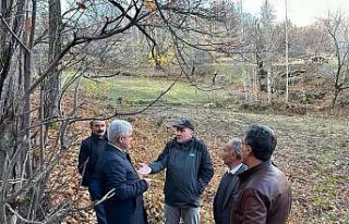 Bitlis’te kestane üretiminde verimi arttırma çalışmaları...