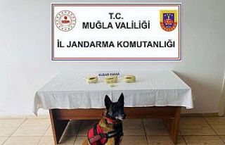 Bodrum’da Jandarma ekipleri uyuşturucuya geçit...