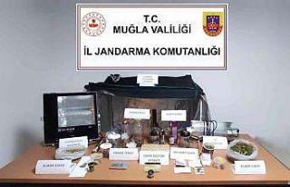 Bodrum’da Jandarmadan uyuşturucu operasyonu