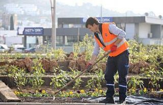 Bodrum’da peyzaj çalışmaları devam ediyor