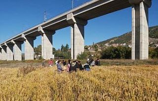 BŞEÜ çiftçiler için yeni bir proje yürütüyor