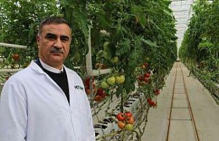 Bu proje, dünyayı tehdit eden kuraklığa karşı...