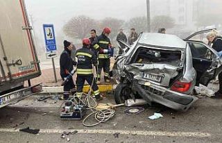 Bulgaristan’dan ilik nakli için Konya’ya giden...