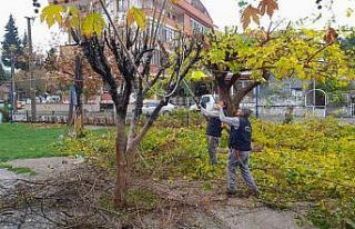 Burhaniye merkezde parklar yenileniyor