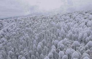Bursa’da kar kartpostallık görüntüler oluşturdu