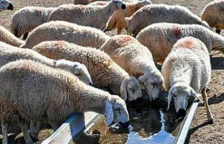 Büyükkılıç: “9 bin üreticinin su faturasının...