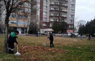 Büyükşehir, topladığı gazelleri gübreye dönüştürüyor