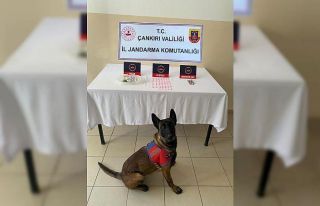 Çankırı’da uyuşturucu operasyonu: 1 gözaltı