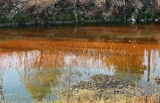 Çayı kirletip balık ölümüne sebep olan firmaya...