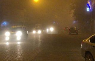 Ceylanpınar’da sis ulaşımı olumsuz etkiledi