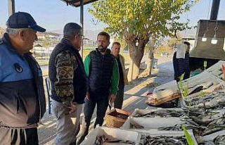 Çine’de yılbaşı öncesinde balık tezgahları...