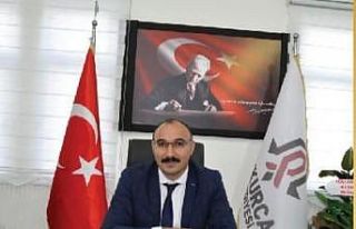 Çukurca’da çilek hasadı