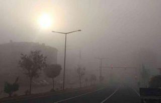 Darende’de sabah saatlerinde yoğun sis