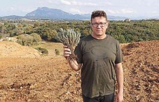 Datçalı girişimci devletten kiraladığı araziye...