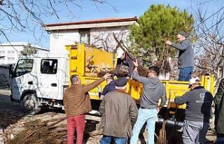 Denizli cevizin marka şehri olacak