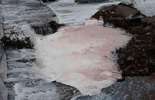 Dereyi kirleten firma faaliyetten men edildi