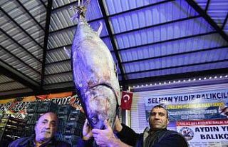 Dev orkinos ilgi odağı oldu