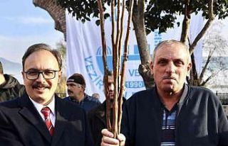 Devlet desteği ile çiftçilere 53 bin adet fidan...