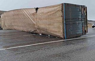 Devrilen tır ulaşımda aksamaya neden oldu