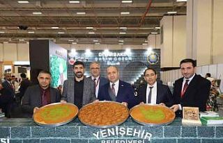 Diyarbakır Travel Turkey İzmir Turizm Fuarında