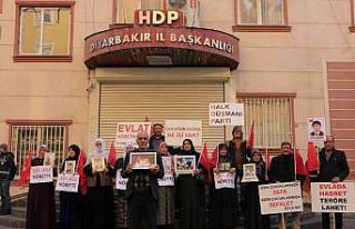 Diyarbakır’da evlat nöbetine 2 aile daha katıldı