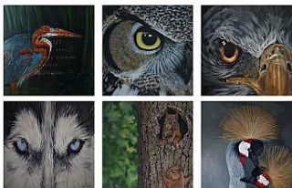 Doğadan sergisine sanal gezi