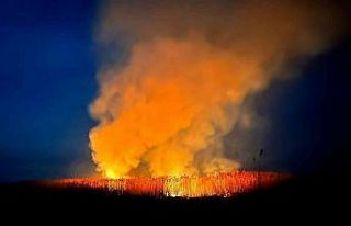 Eber Gölü’nde yine yangın