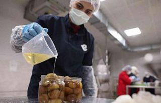 Efeler Belediyesi kestane şekeri üretimine başladı