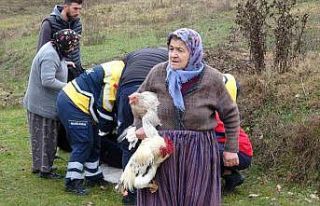 Ekipler yaralılar, köylü kadınlar tavuklar için...