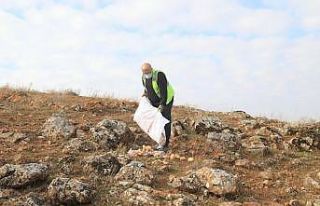 Elazığ Belediyesi, sokak ve yaban hayvanları için...