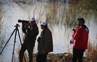 Elazığ’da foto safari etkinliği