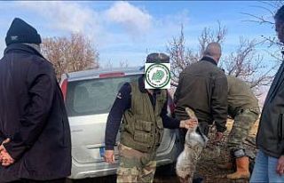 Elazığ’da yasa dışı avcılık yapan 4 şahsa...